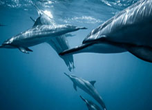 BOB半岛体育首页：开启极致体育生活的新入口